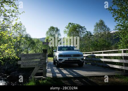 VW Tiguan sur un pont en bois dans la forêt. Banque D'Images