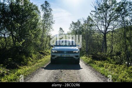 VW Tiguan sur une route forestière ensoleillée face à l'avant Banque D'Images