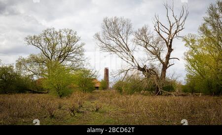 Usine de Bricjk abandonnée Parc naturel de la plaine inondable Meinerswijk près du centre d'Arnhem sur la rive sud du Rhin à Gelderland, Pays-Bas Banque D'Images