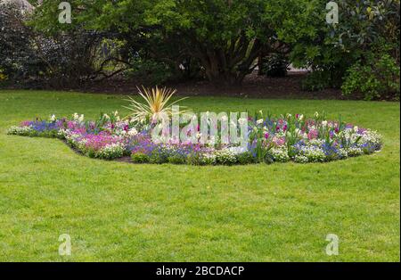 Bournemouth, Dorset Royaume-Uni. 4 avril 2020. Les fleurs colorées des jardins inférieurs de Bournemouth se baissent au soleil, contrairement aux visiteurs, avec les jardins désertés en raison des restrictions de Coronavirus. Blanc rose et bleu oubliez moi nots, tulipes et narcissi. Crédit: Carolyn Jenkins/Alay Live News Banque D'Images