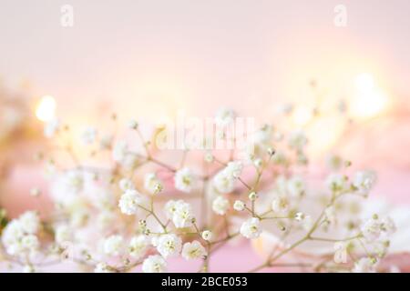 Douce délicate image florale moderne de Gypsophilia également connu sous le nom de bébé de respirer - encore vie photographie florale Banque D'Images