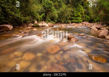 Débit d'eau lent dans la zone forestière récréative Sungai Sedim, Kulim, Kedah. Banque D'Images