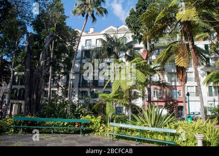 La municipalité de Jardim à l'avenida Arriaga dans le centre ville de Funchal sur l'île de Madère du Portugal. Portugal, Madère, avril 2018 Banque D'Images