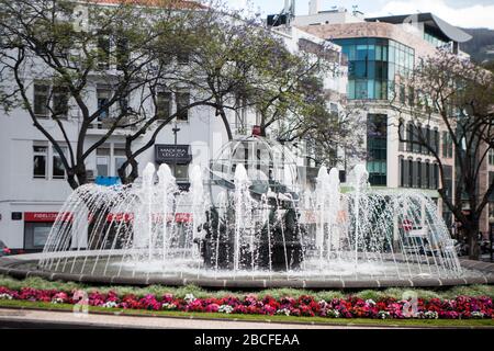 La Rotunda do Infante dans le centre ville de Funchal sur l'île de Madère du Portugal. Portugal, Madère, avril 2018 Banque D'Images