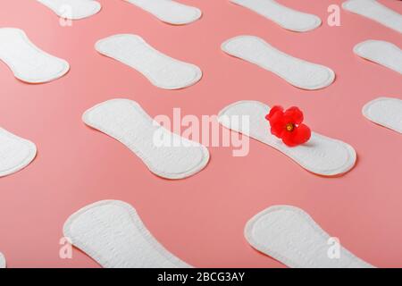 produits d'hygiène intime pour femmes - tampons hygiéniques et tampons sur fond rose. Coussin d'hygiène féminine. Hygiène pendant la menstruation. Femmes jours critiques, Banque D'Images