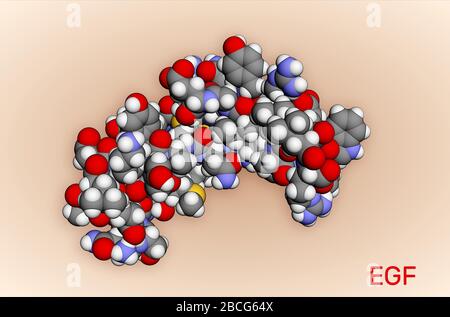 Facteur de croissance épidermique , molécule de protéine EGF. Il stimule la croissance cellulaire et la différenciation. BOÎTIER DE DISTRIBUTION ÉLECTRIQUE DE RENDU 3D 2 KV4. Illustration Banque D'Images