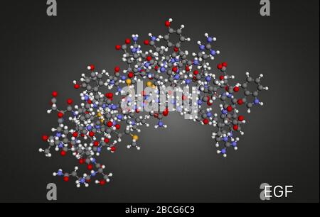 Facteur de croissance épidermique , molécule de protéine EGF. Il stimule la croissance cellulaire et la différenciation. BOÎTIER DE DISTRIBUTION ÉLECTRIQUE DE RENDU 3D 2 KV4. Illustration Banque D'Images