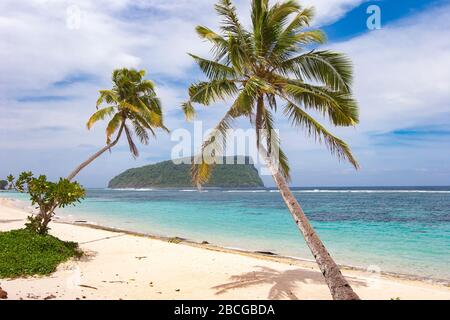 Plage tropicale avec palmiers dans la République de Samoa, Polynésie Banque D'Images