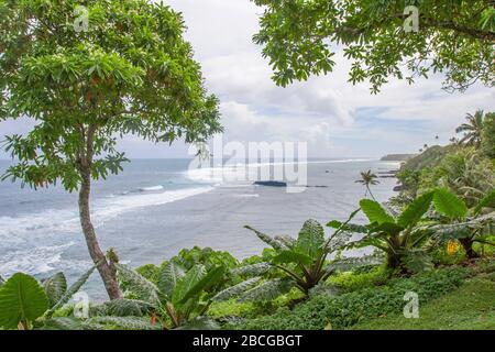 Plage tropicale avec palmiers dans la République de Samoa, Polynésie Banque D'Images