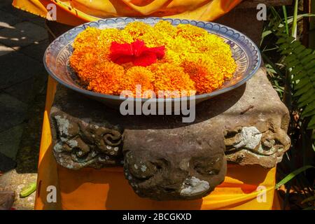 Indonésie, Bali, offrandes de fleurs hindoues Banque D'Images