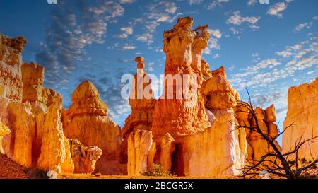 Coucher du soleil sur les Hooodoos de couleur vermilion sur le Queen's Garden Trail dans le parc national de Bryce Canyon, Utah, États-Unis Banque D'Images