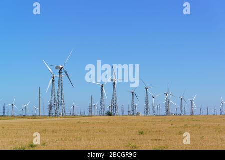 Stations d'alimentation à vent vertical (VPP) dans l'étape Crimée . Une source inépuisable d'énergie Banque D'Images