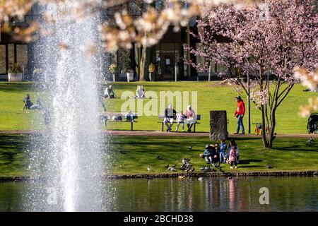 Le Stadtgarten dans le centre ville d'Essen, parc de la ville, samedi, 04.04.20, les gens respectent l'interdiction de contact, de garder leur distance, pas beaucoup de visiteurs malgré su Banque D'Images