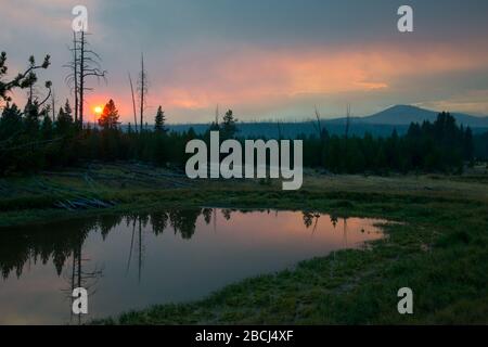 Pins de Murray reflétés dans un étang et silhouettés par un coucher de soleil rouge fumé causé par un incendie de forêt dans le parc national de Yellowstone Banque D'Images