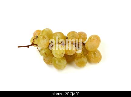 Un groupe de raisins trop mûrs isolés sur fond blanc. Banque D'Images