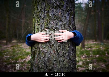 Une fille d'enfant se trouve derrière et donne un câlin à l'arbre dans la forêt. Pouces vers le haut Banque D'Images