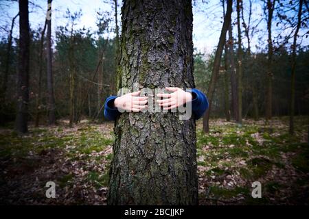 Une fille d'enfant se trouve derrière et donne un câlin à l'arbre dans la forêt. Pouces vers le haut Banque D'Images