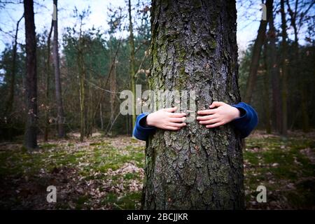 Une fille d'enfant se trouve derrière et donne un câlin à l'arbre dans la forêt. Pouces vers le haut Banque D'Images