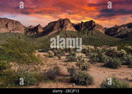 Vue sur la forêt nationale de Tonto près de Phoenix, Arizona Banque D'Images