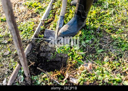 Homme personnes personne travaillant creuser la saleté pour légumes jardin d'hiver poste élevé lit froid cadre en Ukraine dacha et la fermeture de pelle bêche Banque D'Images