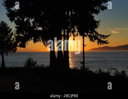 Coucher de soleil enchanteur derrière quelques arbres au parc Stanley de Vancouver Banque D'Images