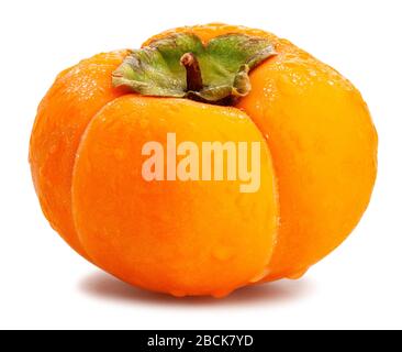 kinglet persimmons chemin isolé sur blanc Banque D'Images