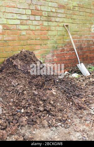 Compostage, déchets organiques se décomposant sur un tas de compost dans un jardin, au Royaume-Uni Banque D'Images