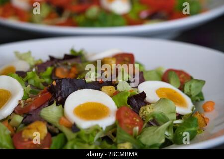 Assiette de salade biologique mixte pour végétariens avec tomates, œufs, poivrons, salades de campagne, vinaigre balsamique et croûtons, image du produit Banque D'Images