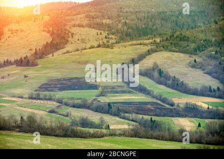 Vue sur les montagnes au début du printemps. Beau paysage naturel. Montagnes de Carpates. Ukraine Banque D'Images