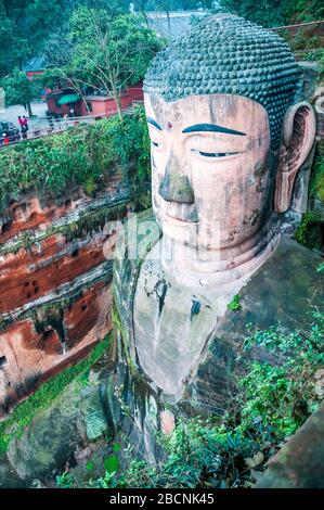 Les 71m de hauteur Grand Bouddha à Leshan, province du Sichuan, Chine. Banque D'Images