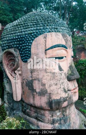 Les 71m de hauteur Grand Bouddha à Leshan, province du Sichuan, Chine. Banque D'Images