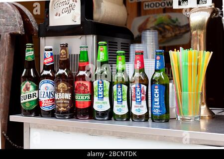 Ensemble de bouteilles de bière polonaises en rangée, diverses marques, de nombreuses bouteilles d'alcool et pailles en plastique dans le conteneur Żubr, Leżajsk, Dębowe, Lech, REDD et 0% Banque D'Images