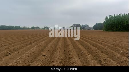 Modèle de ligne des sillons dans un champ labouré préparé pour la plantation de cultures au printemps. Vue en perspective horizontale Banque D'Images