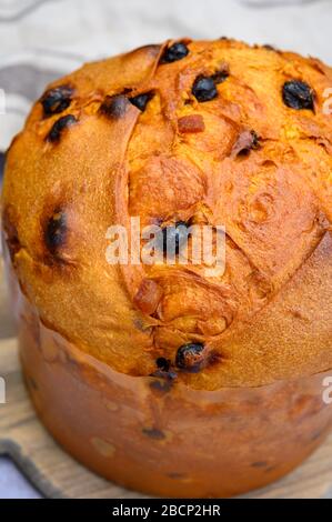 Pain traditionnel italien chaud pour panettone de Noël avec raisins secs et zeste de citron de Milan Banque D'Images