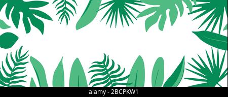 Fond vert tropique vectoriel avec feuilles isolées sur fond blanc avec place pour le texte. Le feuillage de la jungle. Bannière de concept de forêt tropicale. Illustration b Illustration de Vecteur