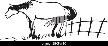 Cheval dans le pré Illustration de Vecteur