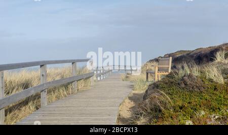 seascape de l'île de Sylt avec banc sur une dune au large de la côte de la mer du Nord Banque D'Images