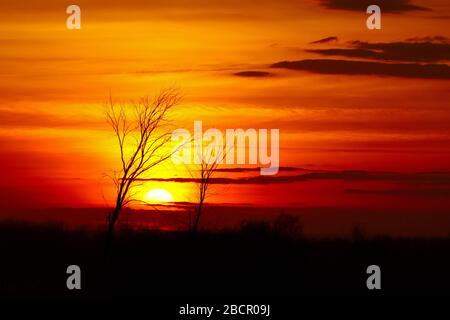 Le soleil se situe entre deux silhouettes d'arbres avec un paysage nuageux rouge et orange profond derrière Banque D'Images