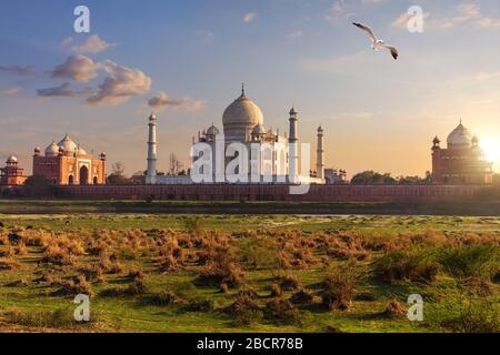 Taj Mahal vue arrière de la prairie d'Agra, Inde Banque D'Images