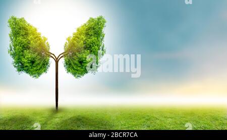 Illustration de l'arbre pulmonaire (environnement et médecine) Banque D'Images