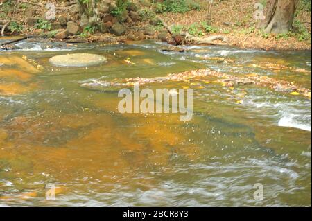 Série de sculptures en pierre dans le lit de rivière des yonis et des lincas à Kbal Spean, Cambodge. Il est connu comme une rivière de mille Lingas Banque D'Images