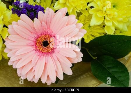 Gerbera rose dans le bouquet à proximité Banque D'Images