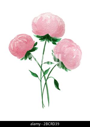pivoines roses aquarelle bouquet de fleurs, élément de décoration florale pour carte, mode, anniversaire ou invitation, décoration florale de fête des mères Banque D'Images