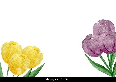 bouquet de tulipes d'aquarelle jaune et violette, carte de décoration florale pour la fête des mères, invitation ou célébration de mariage, tulipes dessinées à la main Banque D'Images