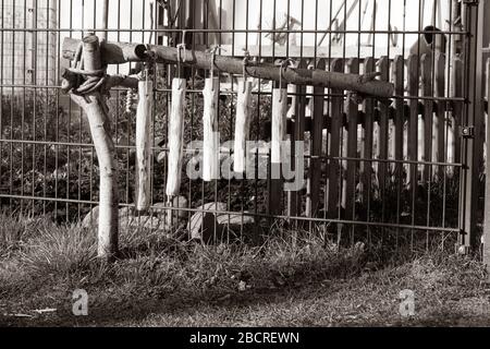 sur une clôture se trouve un carillon autosculpté en bois Banque D'Images