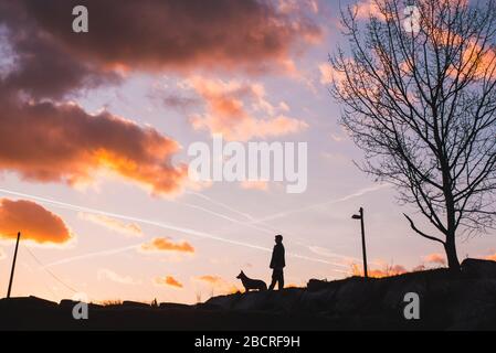 Homme et chien regardant quelque part, silhouette photo, amitié, amour Banque D'Images
