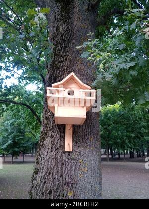 Belle maison d'oiseaux sur un arbre. Birdhouse dans le parc. Banque D'Images