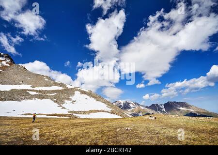 Randonneur dans une chemise jaune avec sac à dos randonnée dans les montagnes enneigées au fond de ciel nuageux Banque D'Images