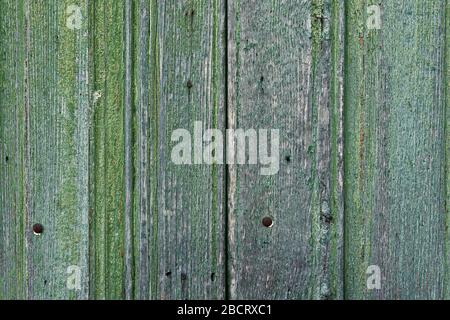 planches en bois peintes en vert, texture prête pour votre conception Banque D'Images