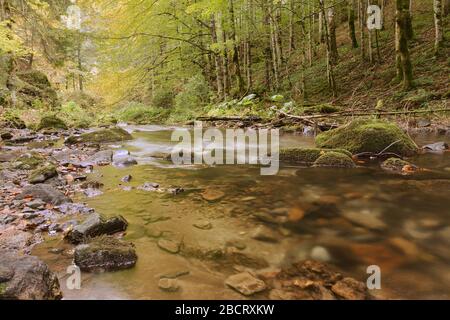 la rivière mountain se ferme en automne Banque D'Images